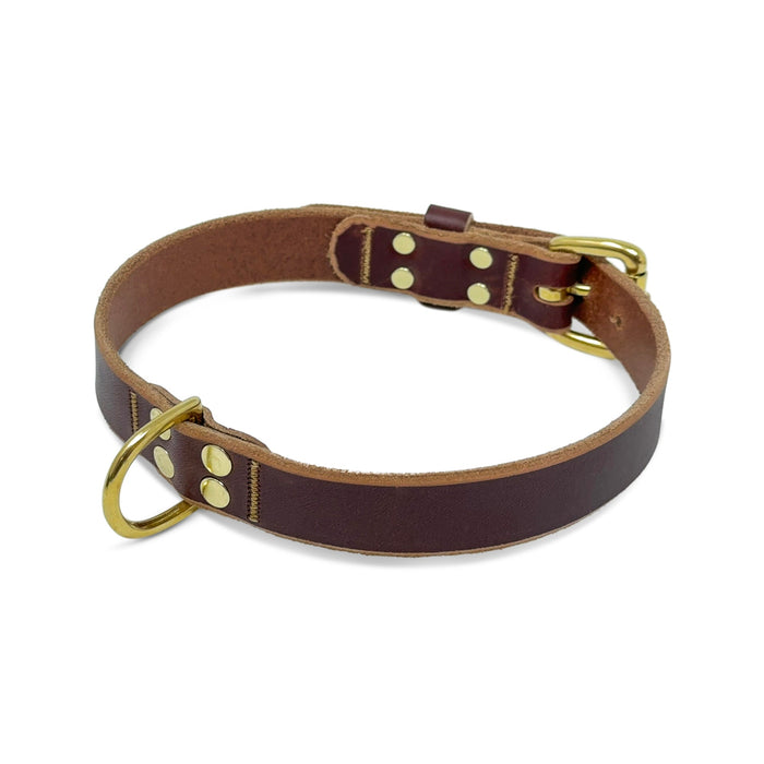 Leather Dog Collar - USA Assembled