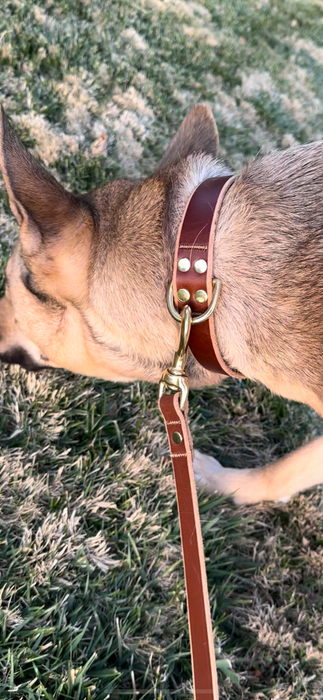 Leather Dog Collar - USA Assembled